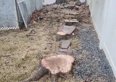 Contracting Services