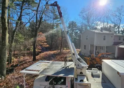 Contracting Services