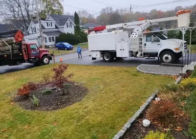 Contracting Services